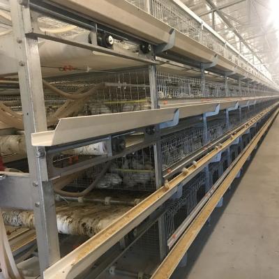 China Full automatic 3 rows and 4 rows automatic broiler chicken cage for poultry farm for sale