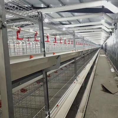 China Durable Factory Price Wholesale Automatic Poultry Battery Animal Broilers Cages System for sale