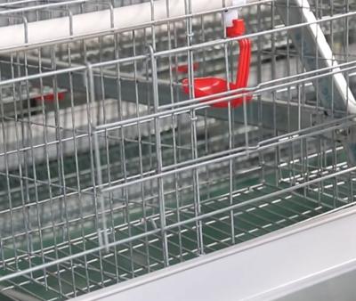 China Full Automatic Farms 2022 Meat Chicken Cage For Sale for sale