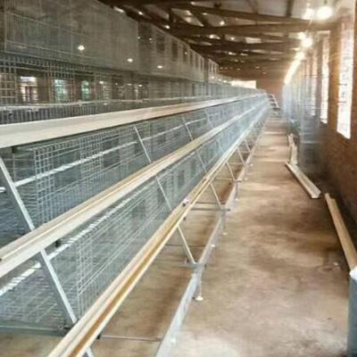 China Automatic Farms A Chicken Breeding Cage Chicken Broiler Cages For Sale for sale