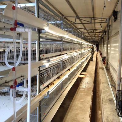 China Farms Farm House Automatic Battery Galvanized Chicken Cages For Sale Modern Poultry Farming Equipment for sale