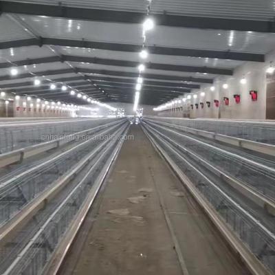 China High Quality Automatic Galvanized Farms Battery Chicken Cage for sale