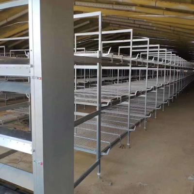 China High Quality Automatic Farms System Broiler Chicken Cage Breeding Cage for sale