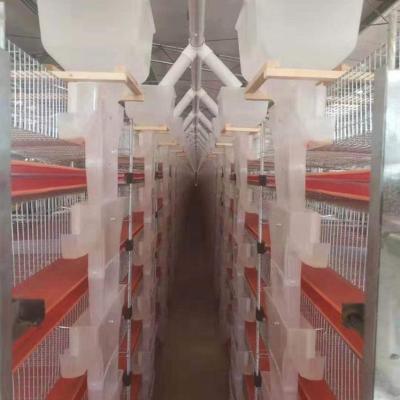 China Cold Galvanized Farms A And H Type Battery Quail Cage For Poultry Equipment for sale