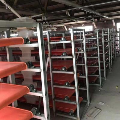 China Farms New Design Automatic Cage Quail Layer Cage For Quail Farm for sale