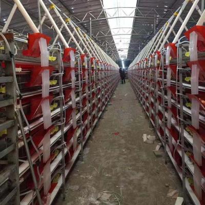 China Farms Price Cheap New Design Fully Automatic Battery Control H Type Quail Cage Feeder For Sale for sale