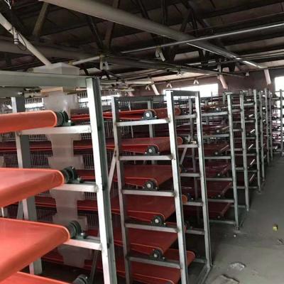 China Automatic Farms Quail Cage For South Africa , Quail Cage Farm Equipment for sale