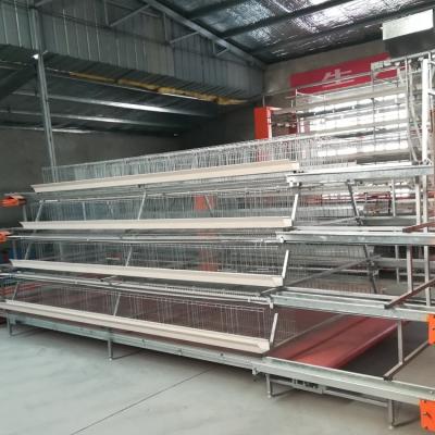 China Farms Water Drinking Laying Breeding Laying Cages Equipment Automatic System Egg Layer Battery Cages Layers for sale