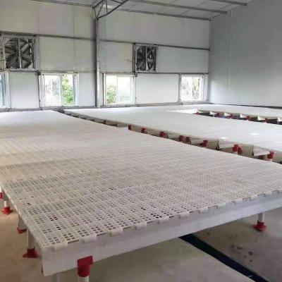 China Plastic Farms Poultry Flooring System Slat for sale