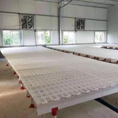 China Plastic Farms Chicken Floor Slat for sale