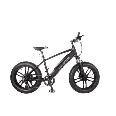 China China Fiber Electric Bike/Carbon 1000 Watt 5000w 3000 Watt Electric Bike/Electric Bike Delivery Cargo Electric Bicycles for sale