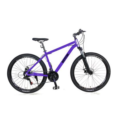 China Aluminum Alloy 21 Speed ​​Mountain Bike Aro 29 Sport Bike Alloy Frame Bicicleta de Monta Mtb for sale