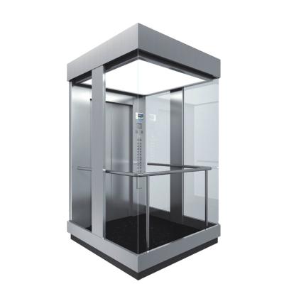 China Modern Used Transparent Glass Panoramic Elevator With Safety Observation Wall for sale