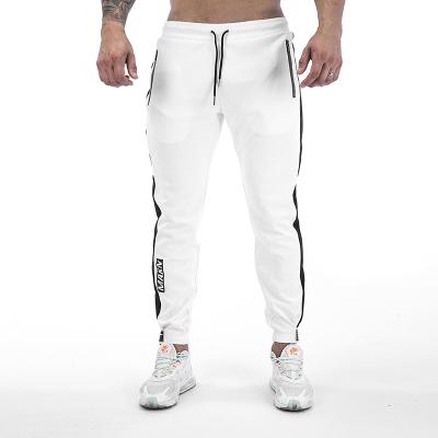 China Cargo Ripstop Streetwear Track Gym Anti-Pilling Trousers Character Lounge Men's Casual Lightweight Pants Combat White Tight Elastic Cotton for sale