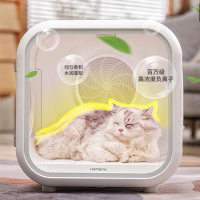 China Mid 2021 Viable Wholesale Multifunctional Automatic Small Dry Machine Cat Dog Dryer Equipment Pet Dryer Box for sale