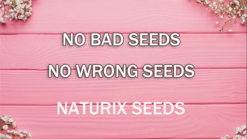 Verified China supplier - Guangxi Naturix Import & Export Co., Ltd.