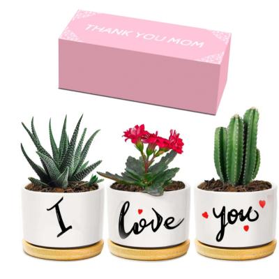 China Amazon Modern Hot Selling Ceramic Flower Pots Set For Mother's Day for sale