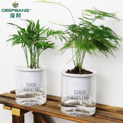 China DEEPBANG Modern Indoor Office Round Hydroponic Transparent Clear Planter Self Watering Plastic Flower Plant Pots for sale