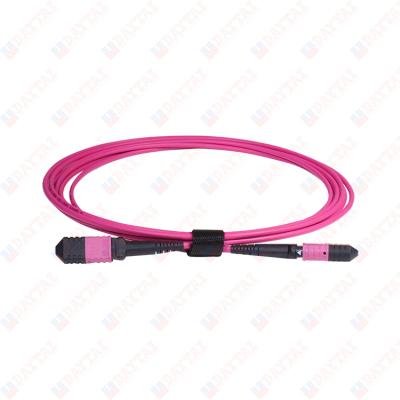 China FTTX MPO 12 Core Trunk Patch Cord For Male To Male Connector for sale