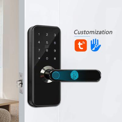 China Anti-counterfeiting and anti-spying Secure Smart Mortise Combination Homekit Wifi TT Lock Digital Electronic Key Door Handle Locks for sale