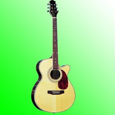 China Flawless plywood; Takamine SNAG014 41