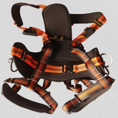 China Skylotec Cs4 Safety Harness G-0904 Facade Cleaning System Machinery & Industrial Equipment for sale