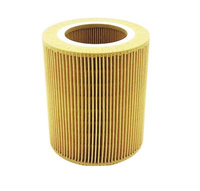 China C1250 AF26419 Air Compressor Parts Filter , 88226220 Compressor Air Filter Element for sale