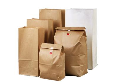 China Food Grade Multiwall Kraft Paper Bags Recyclable Eco Friendly Biodegradable GMP Standard for sale