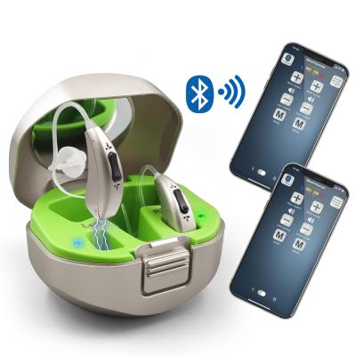 China Rechargeable Hearing Aid Digital Filling Hearing Aids For Deaf Filling Hearing Aids for sale