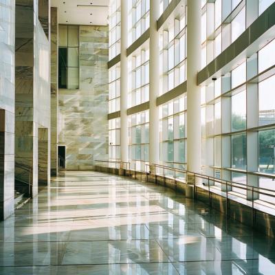 China Double glazed Low-E glass curtain wall for Your Fashion design Building Facades for sale