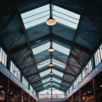 China Roof Skylight For Large Farmers' Markets Brightening Spaces And Enhancing Visibility for sale