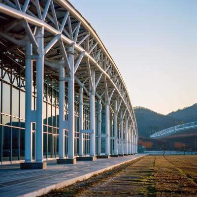 China Space Frame Truss for Large Attractions Visitor Centers Engaging and Dynamic Structures for sale