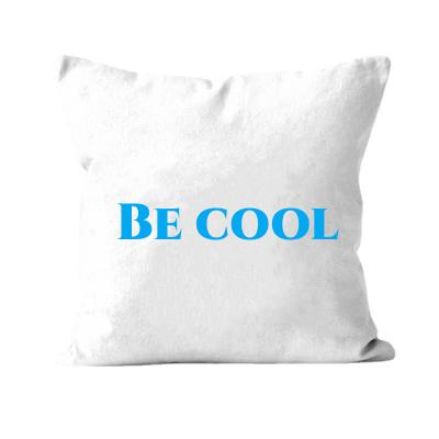 China Polyester 40x60cm CustomLogo HD Digital Printing DIY Minky Plush Crystal Velvet White Board Company Logo Pillow for sale