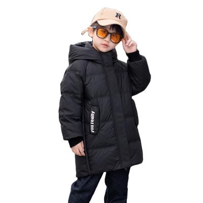 China Blazer Manufacturer Wholesale Fine Art Warm Sport Unisex Breath Swallows Winter Down Jacket For Kid for sale