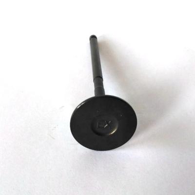 China 4CR9SI2MO 21-4N 1S7Z6507AA 1S7Z6505AA Engine Valve Used For FORD FOCUS ECOSPORT 2.0L for sale