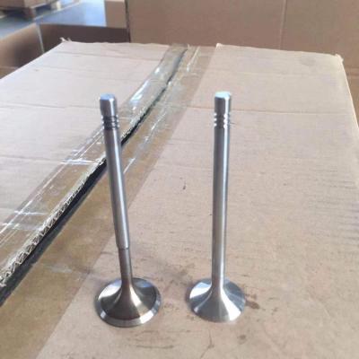 China Engine Intake Exhaust Valve 1S4G6507CA 1S4G6507CB 1S6C6505BA 1S6G6505BA Used For Ford Focus 1.6l MODEL 30.1*6*99 24.1*6*101.4MM for sale