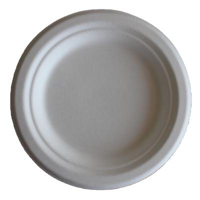 China Degradable Dinner Plate Bulk White Material Degradable Cheap Price Plate Disposable for sale