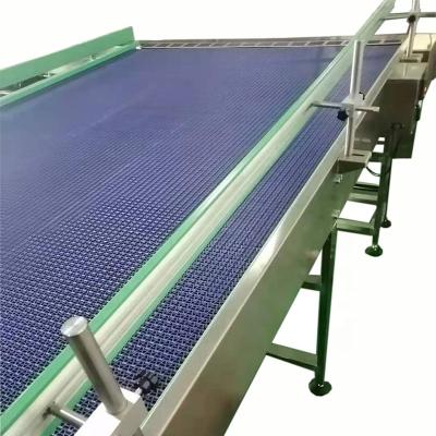 China Other Plastic Blue Net Conveyor for sale