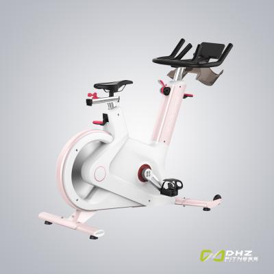 China Magnetic Home Use Home Fitness Equipment Dhz Control Manual S100 Spinning Bike for sale