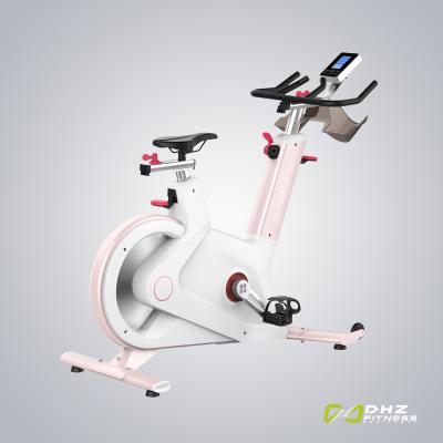 China Home Use S100L Motorized Magnetic Home Use Equipment Home Fitness Dhz Control Spin Bike - 7 Inch LED Display for sale