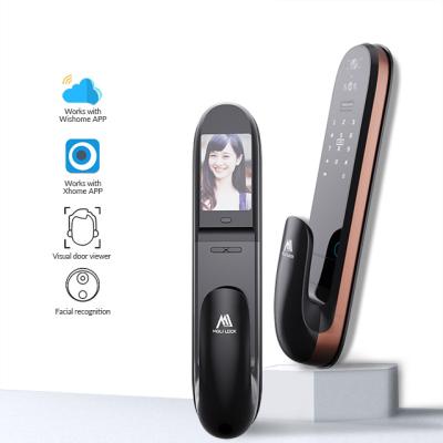 China Visible Indoor Remote 3D Biometric Fingerprint Face Recognition Digital APP /Fingerprint/Code/Card (Optional) Camera Mobile Smart Lock for sale