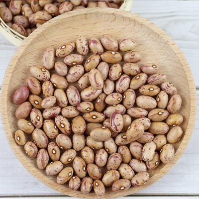 China Dried Light Spotted Kidney Beans for sale