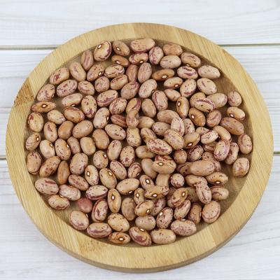 China Dried Light Spotted Kidney Beans for sale