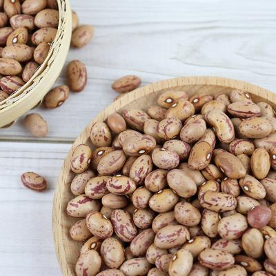 China Newest Health Culture Dry Food Long Form Round Boat Around Light Spotted Kidney Pinto Beans for sale