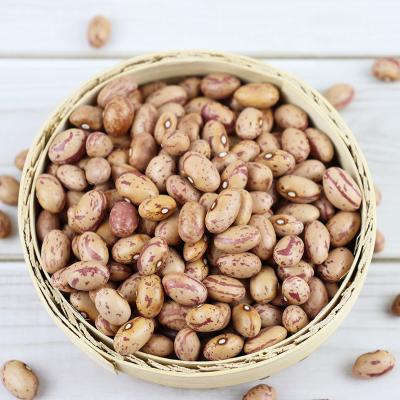 China Dried Cranberry Beans Light Spotted Kidney Beans for sale