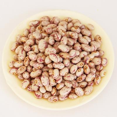 China Life Shape Product Salt Place Ingredients Dwarf Beans Shelf Original Red Type Dry Red Years Syrup Brine Process Kunyu Preservation for sale