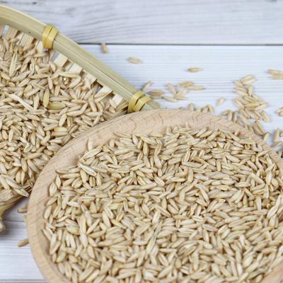 China China Origin Nihewan Groats Grain Dried High Quality Hulled Oats for sale