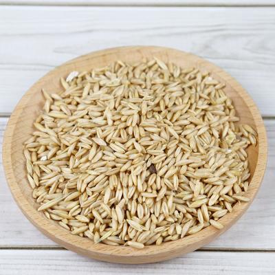 China Snack Protein Bulk Oat Grain High Quality Products Pure Oatmeal Dry Fast Cooking and Storage for sale