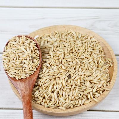 China Factory super pure natural premium quality 100% pure natural premium grade 100% raw fresh dried oats at least price for sale