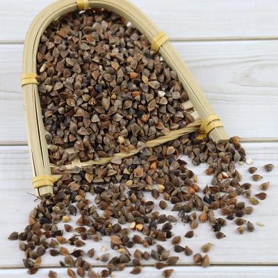 China Dried buckwheat hulled best quality soft raw roasted buckwheat kernel buckwheat grain for sale for sale